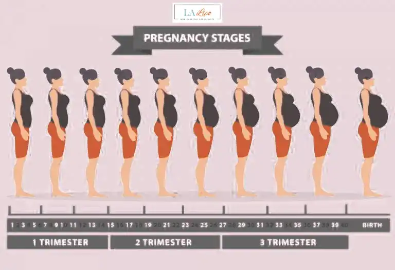 First Trimester (Weeks 1–12): Early Changes You Might Not Notice Stoke-on-Trent